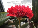 Nature_74