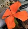 Nature_77