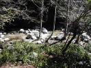 Nature_96
